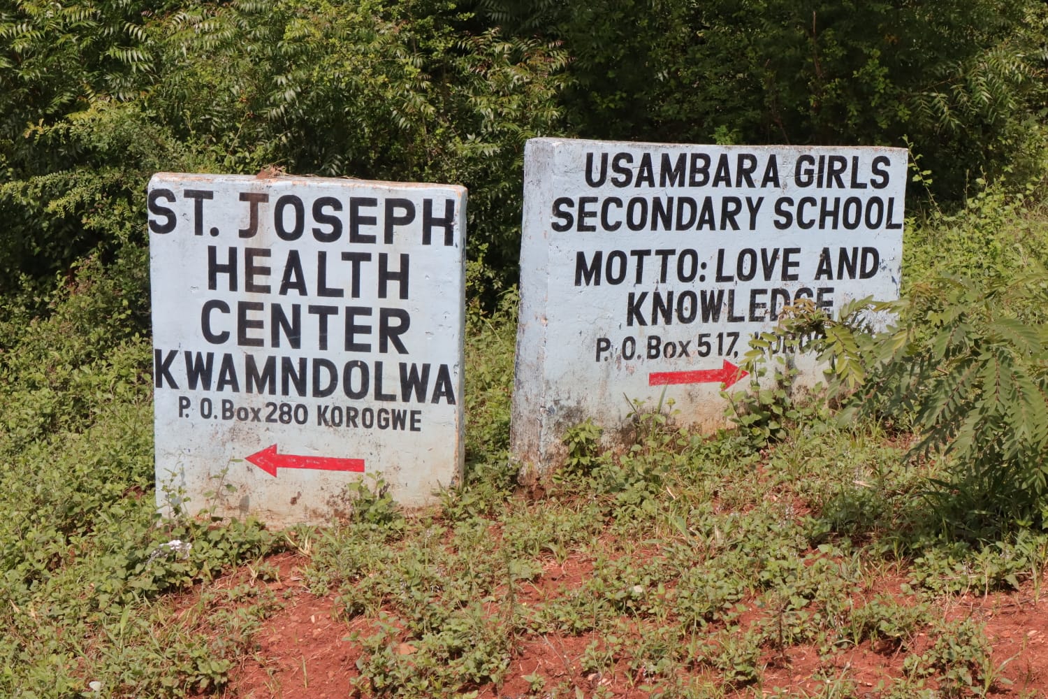 WhatsApp Image 2026-03-05 at 09.55.26